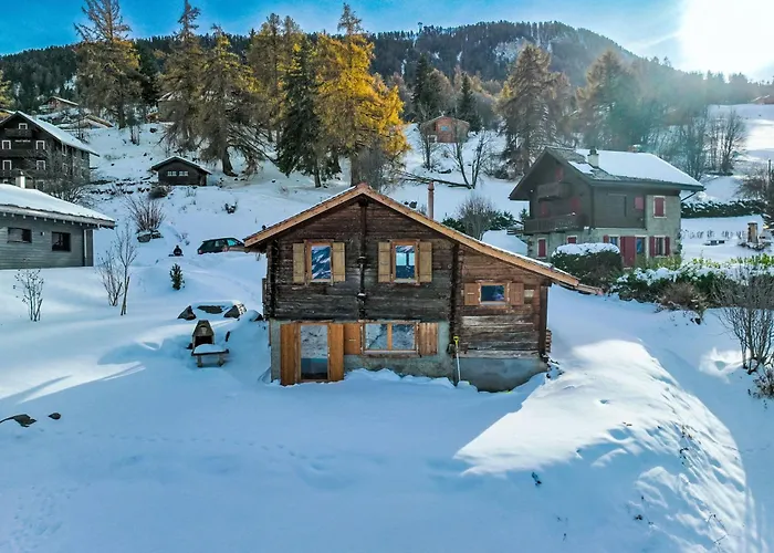 Le Mayen Des Veillas By Interhome Nendaz