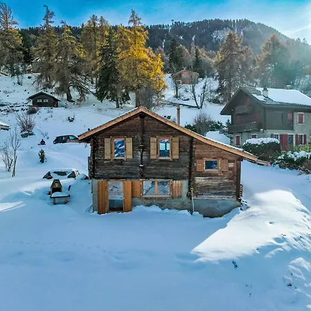 Le Mayen Des Veillas By Interhome Fey (Nendaz)